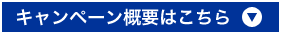 キャンペーン概要はこちら