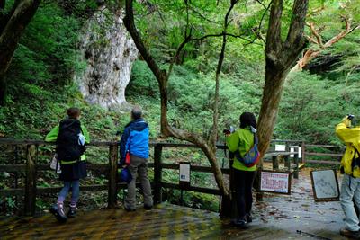 屋久島登山道の休憩スペース