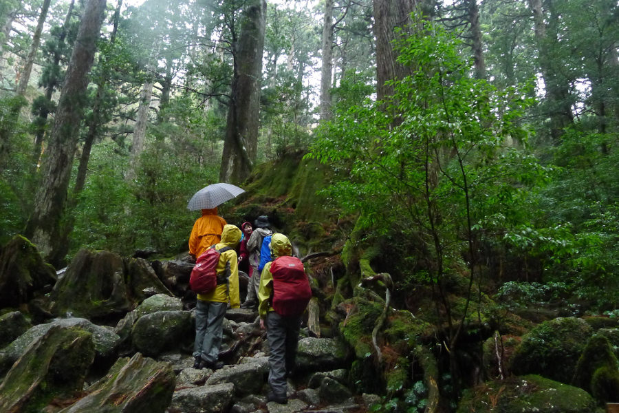 雨を楽しむには、まず装備から 雨を楽しむには、まず装備から