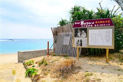 画家・田中一村を描いた映画『アダン』のロケ地にもなった