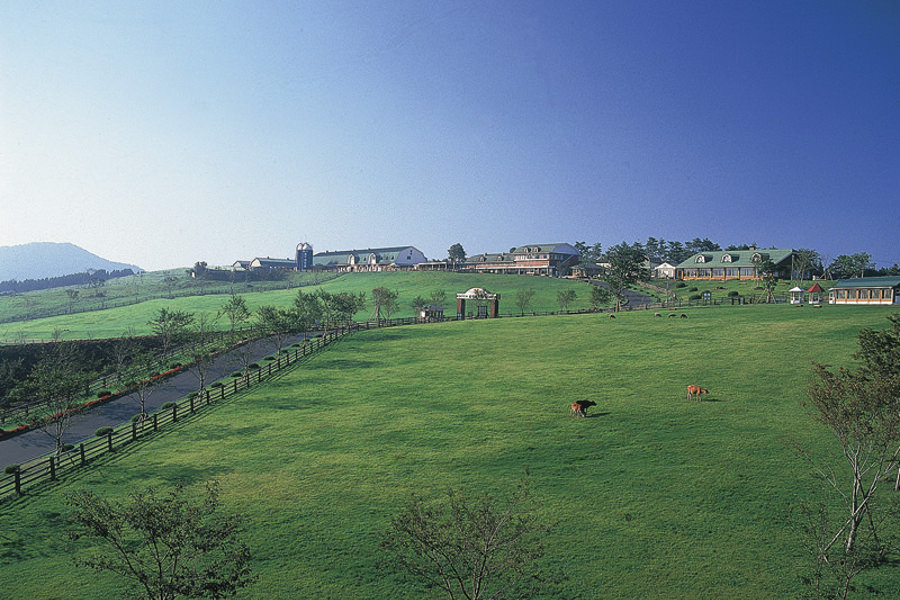 霧島連山を前に広い芝生でごろんと寝転がれる「高千穂牧場」 霧島連山を前に広い芝生でごろんと寝転がれる「高千穂牧場」