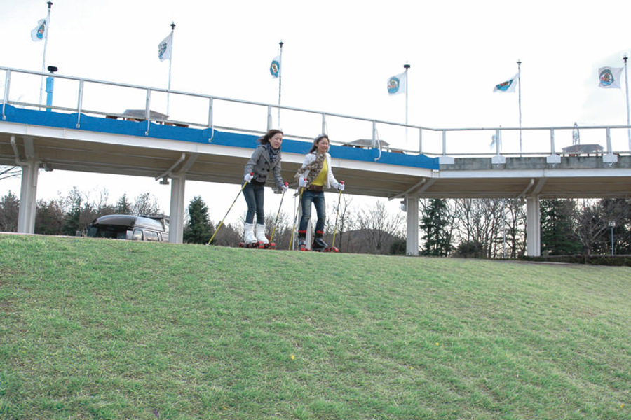 グラススキーもできる「霧島高原まほろばの里」 グラススキーもできる「霧島高原まほろばの里」
