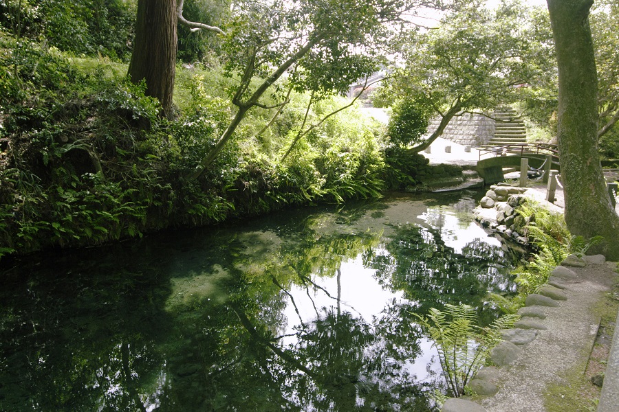 清らかな阿蘇の伏流水がこんこんと湧き出す