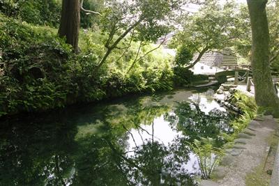 清らかな阿蘇の伏流水がこんこんと湧き出す