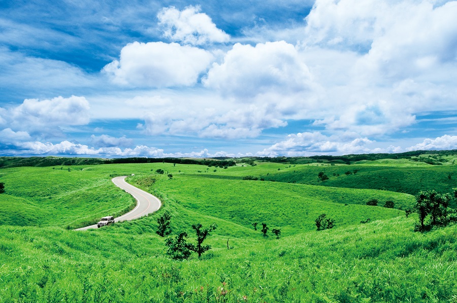 どこまでも続く大草原の中を爽快にドライブ! どこまでも続く大草原の中を爽快にドライブ!