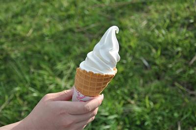 甘さ控えめの「ジャージー牛乳ソフト」。濃厚な風味を堪能できる