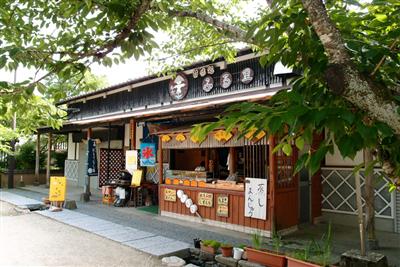 店内では、店主お手製の木彫りのフクロウたちが迎えてくれる