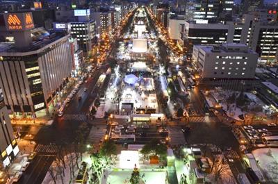 雪まつりでの展示作品