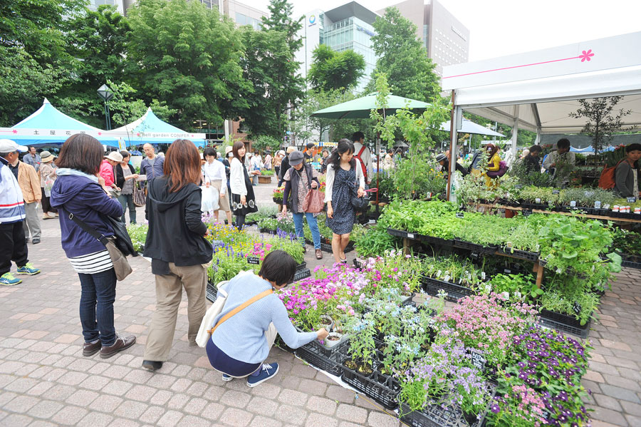 大通西4丁目~西8丁目まで続く花の祭典