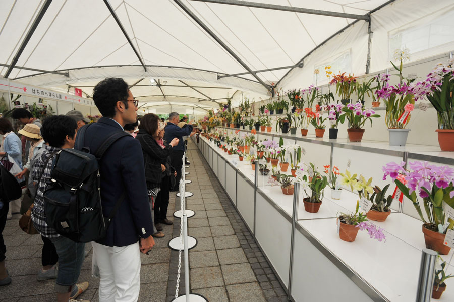 花のディスプレイをはじめ、さまざまな催しが実施される