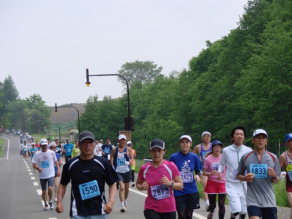 十勝岳や丘のある風景、新緑を楽しむイベントとしても人気 白樺街道の直線