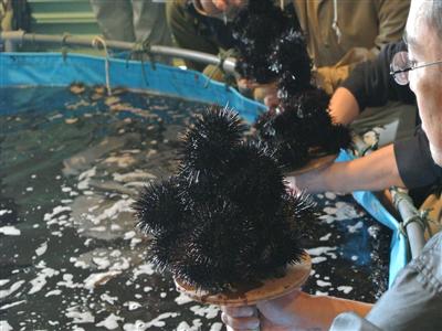 海産物詰め放題