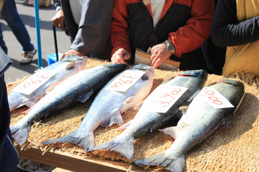 まるまると太った「西別鮭」はブランド品。会場では特価で購入可能だ