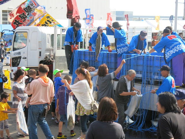来場者の歓声が沸く毎年大人気の「朝揚げサケ抽選即売会」 登別漁港まつり