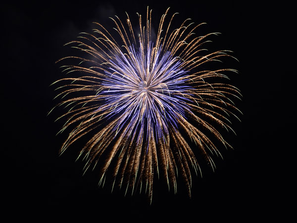 はぼろの空に鮮やかに花開く花火 はぼろ花火大会
