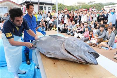 松前城下マグロまつり