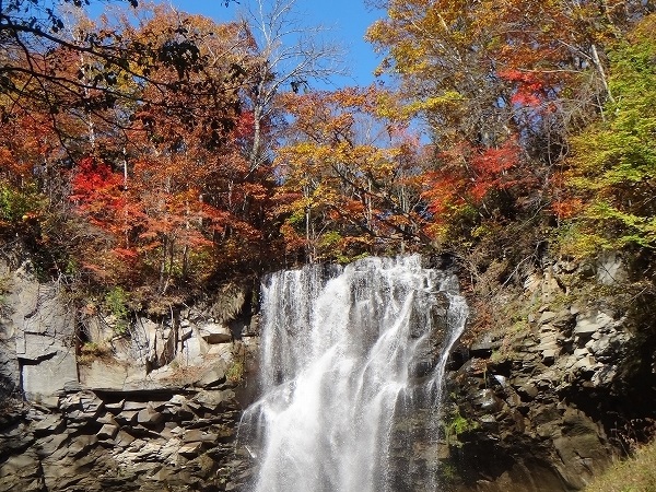 滝野 すずらん 丘陵 公園