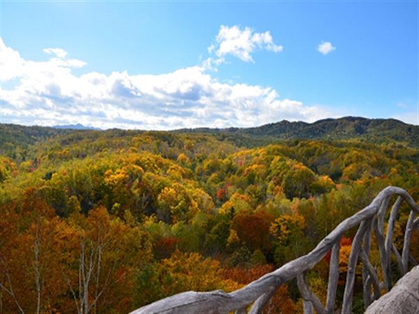 森見の塔からは360度視界が広がり、紅葉した森や周辺の山々を一望できる 森見の塔からの景色