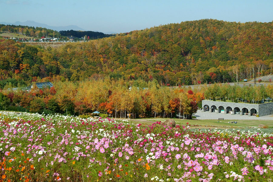 カントリーガーデンの紅葉