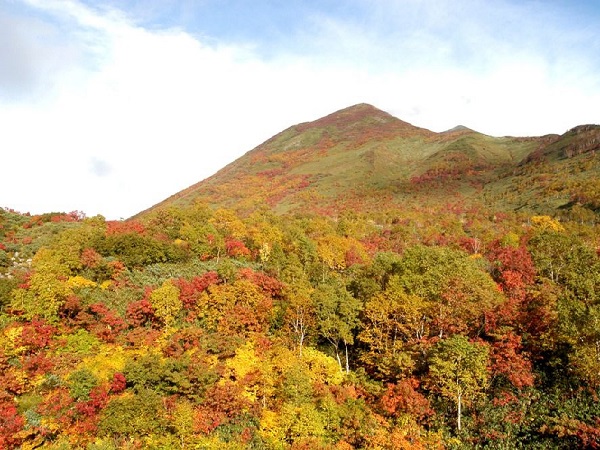 紅葉に彩られたニセコアンヌプリの大きな山に息をのむ ニセコアンヌプリの紅葉