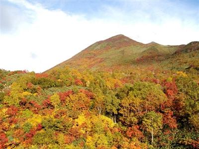 ニセコアンヌプリの紅葉