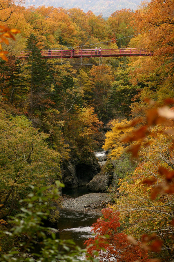 雄大な自然の中に美しい渓流と紅葉風景が広がる岩内仙峡 岩内仙峡の紅葉