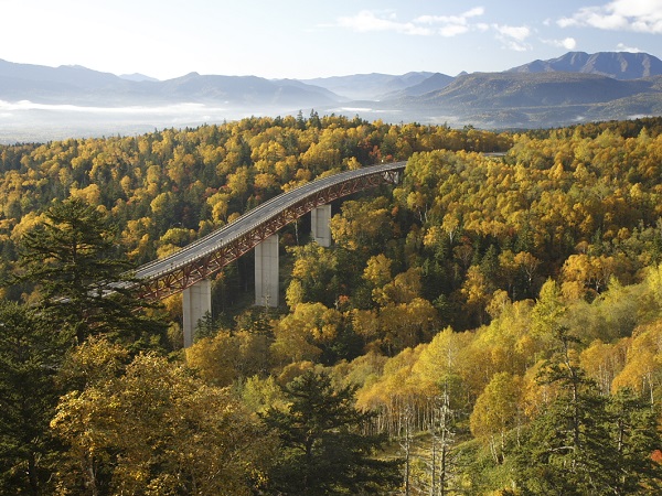 黄色の樹海と松見大橋 三国峠の紅葉