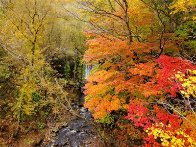 雲石峡の紅葉