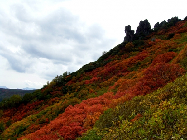 黒岳の紅葉