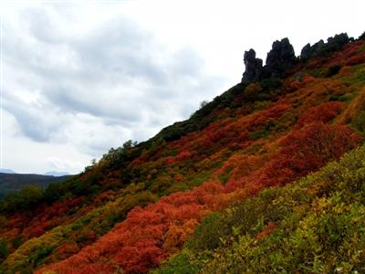 黒岳の紅葉