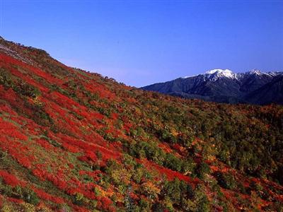 銀泉台の紅葉