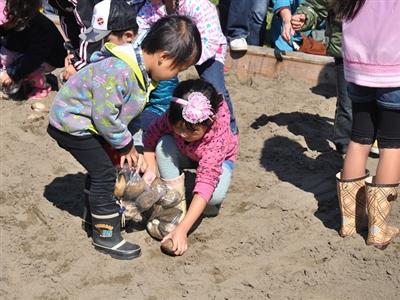 根室産業フェスティバル