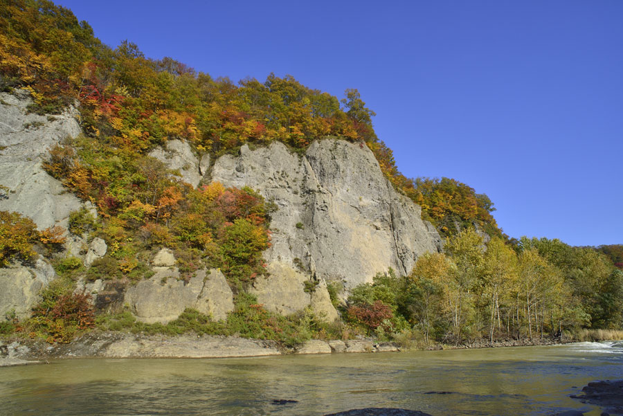 岩肌と豊平川、紅葉のコントラストが見事 藻南公園