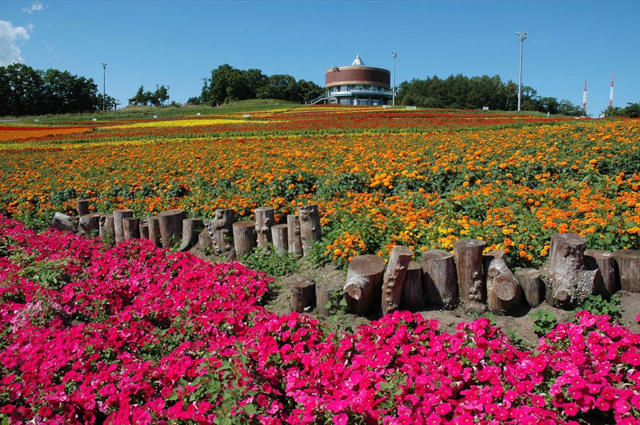 「はな・てんと」を飾る色とりどりの花々(写真提供:網走市観光協会) はな・てんと