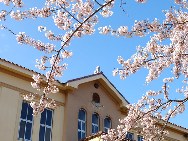 博物館や遊園地、噴水、動物飼育施設などいろいろと楽しめる函館公園 博物館や遊園地、噴水、動物飼育施設など色々と楽しめる函館