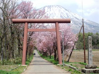 神社の鳥居越しに羊蹄山を望む