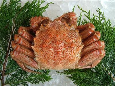 毛蟹