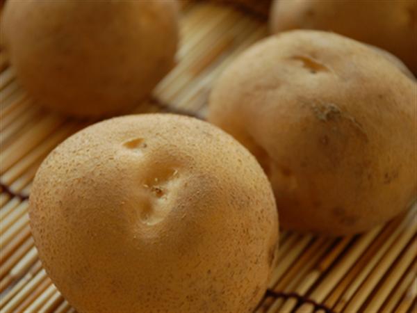 色々な料理と相性のいいとうや じゃがいも「とうや」