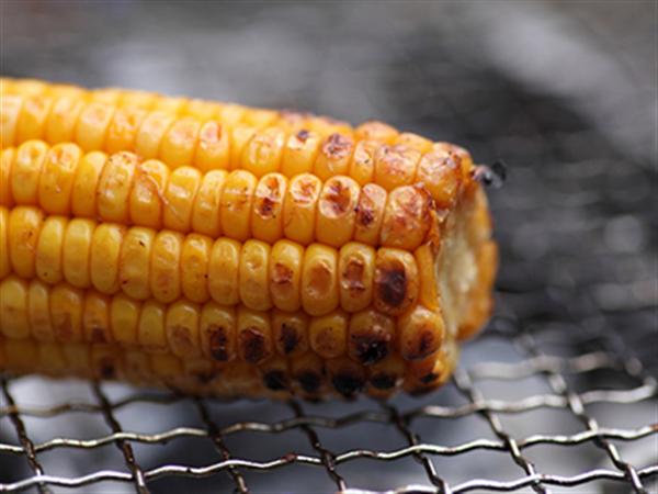 皮が柔らかくどのような食べ方をしても美味しいとうもろこしだ とうもろこしゴールドラッシュ