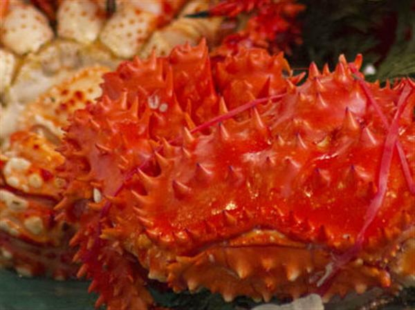 強そうなトゲトゲの殻の中にはジューシーな身と味噌がぎっしり! 花咲ガニ