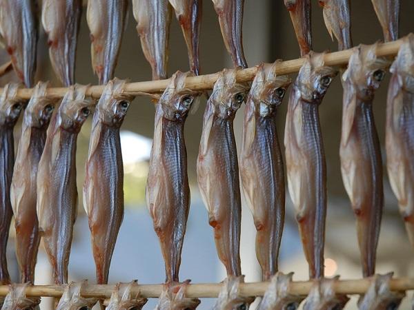 鵡川ししゃも 鵡川ししゃも