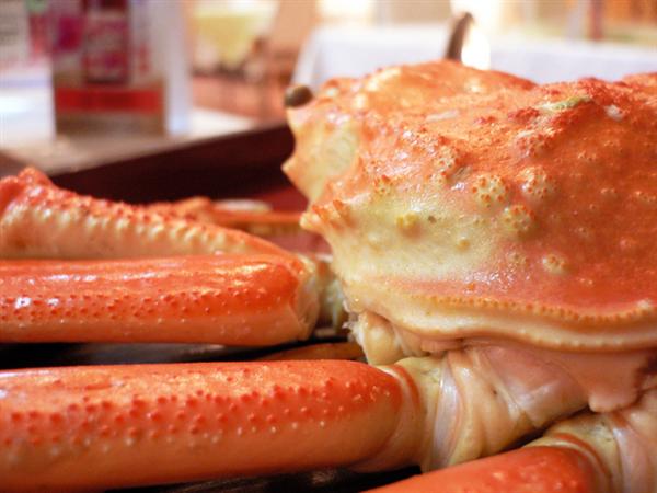 繊細な甘みが癖になるズワイガニ カニの女王「ズワイガニ」