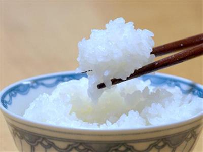 まずは炊きたてホカホカの白飯を楽しみたい
