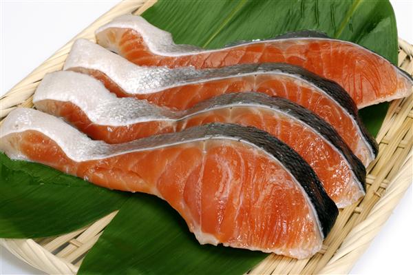 秋の風物詩、「秋鮭」 ブランド鮭「銀聖」が水揚げされる日高の「秋鮭」