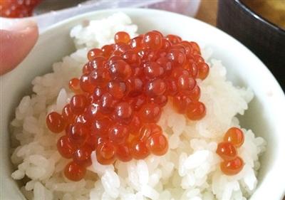北海道産いくら