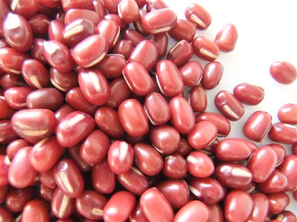 北海道の大自然の恵みである「しゅまり小豆」 しゅまり小豆