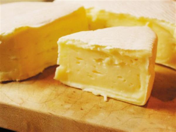 「藤井牧場」白カビタイプのチーズ リブロッション 「藤井牧場」 リブロッション