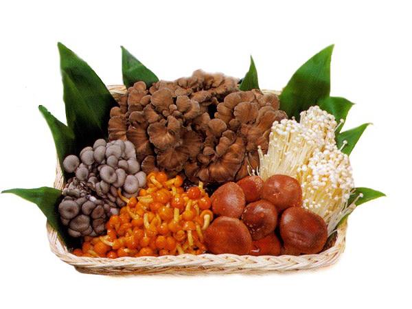 愛別町のきのこ 愛別町のきのこ