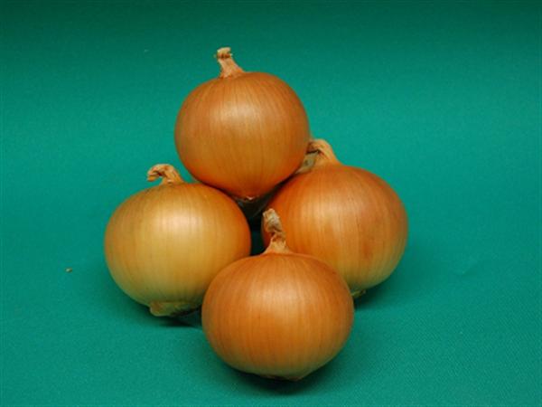 さつおうは、甘さと辛さがバランス良く調和し味が良い さつおう