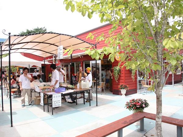 今朝の畑でとれた新鮮な野菜が並ぶ(とかちむら産直市場) とかちむら